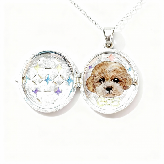 (Sterling Silver) The Silvery Orb Locket