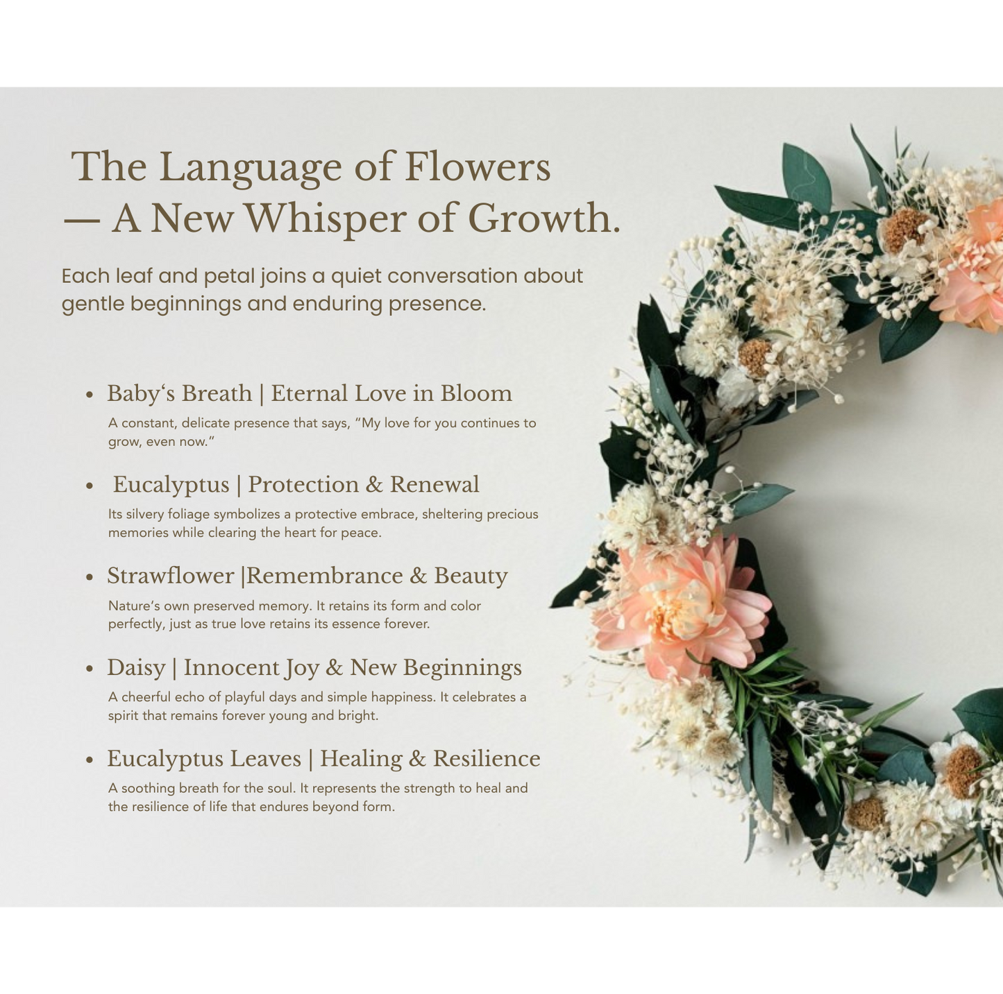 The Garden of New Whisper