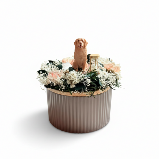 The Garden of New Whisper