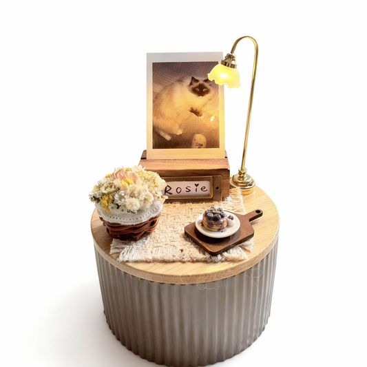 Picnic of Memory's Glow